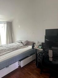 Dyson Road (D11), Semi-Detached #577438911
